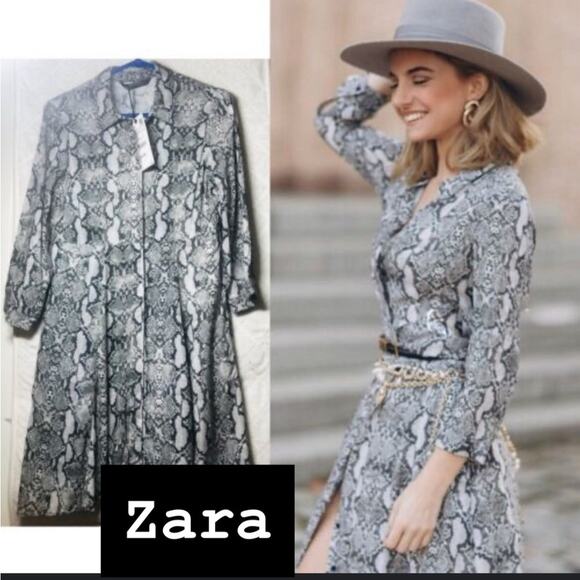 Zara Snakeskin Print Elegant Gray Dress NWT Size Xsmall - Picture 1 of 6